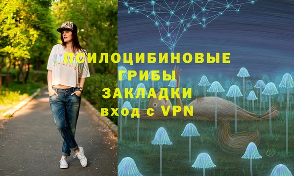 гашик Богородск