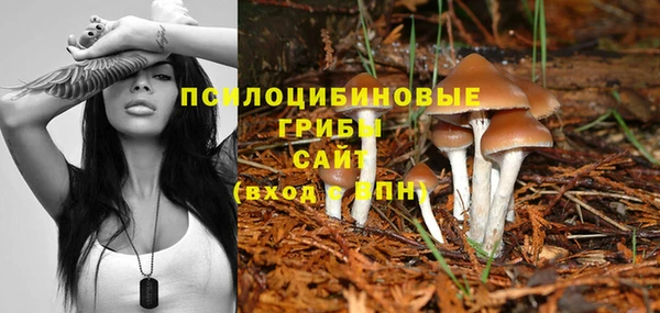 герыч Бронницы
