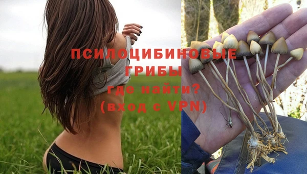 крисы Богданович