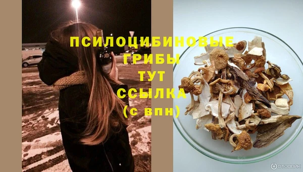 крисы Богданович