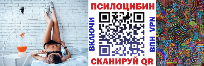 Псилоцибиновые грибы GOLDEN TEACHER  OMG ONION  Гусев 